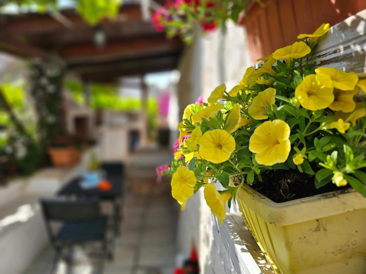Il Trullo Felice Villa Locorotondo Exteriör bild